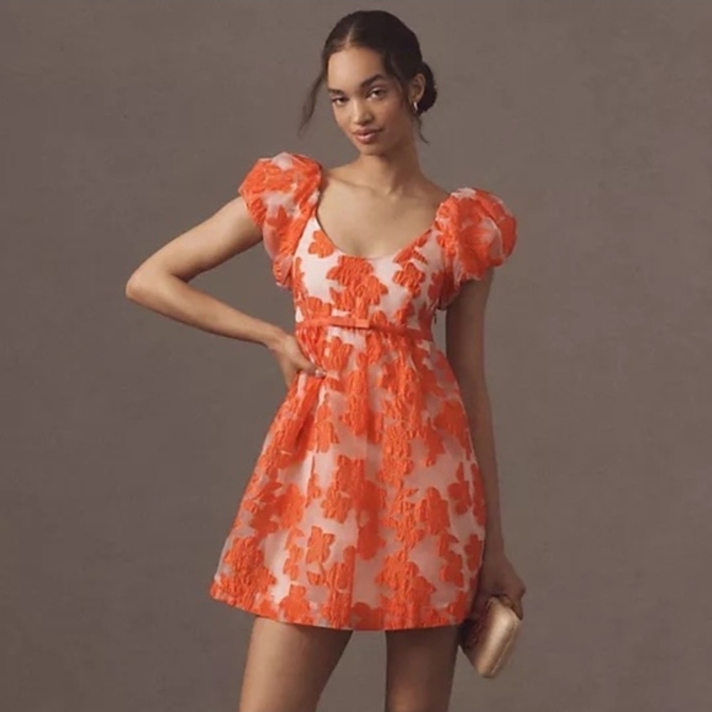 NWT Anthropologie Mini Dress - Large